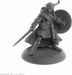Elf Fighter, Mellonir Windrunner