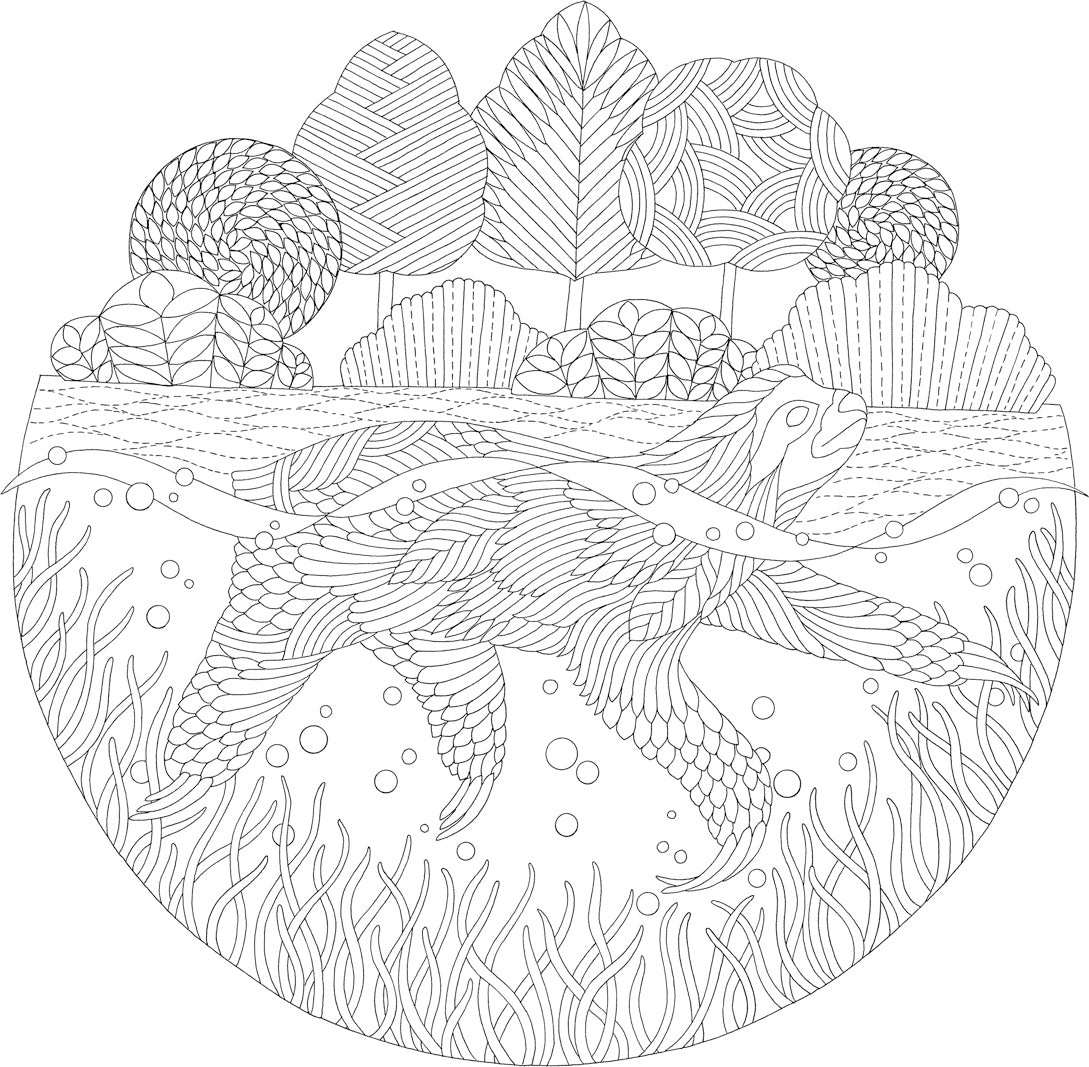 Millie Marotta's Island Escape: A Coloring Adventure