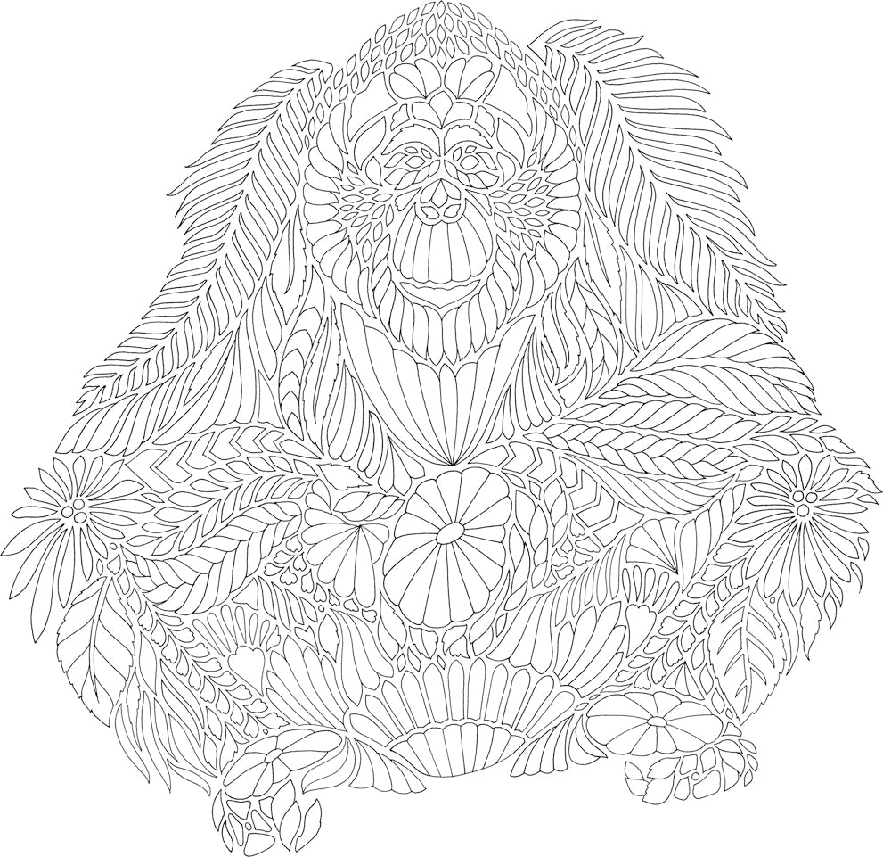 Millie Marotta's Island Escape: A Coloring Adventure