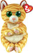 Mango, Gold Striped Cat