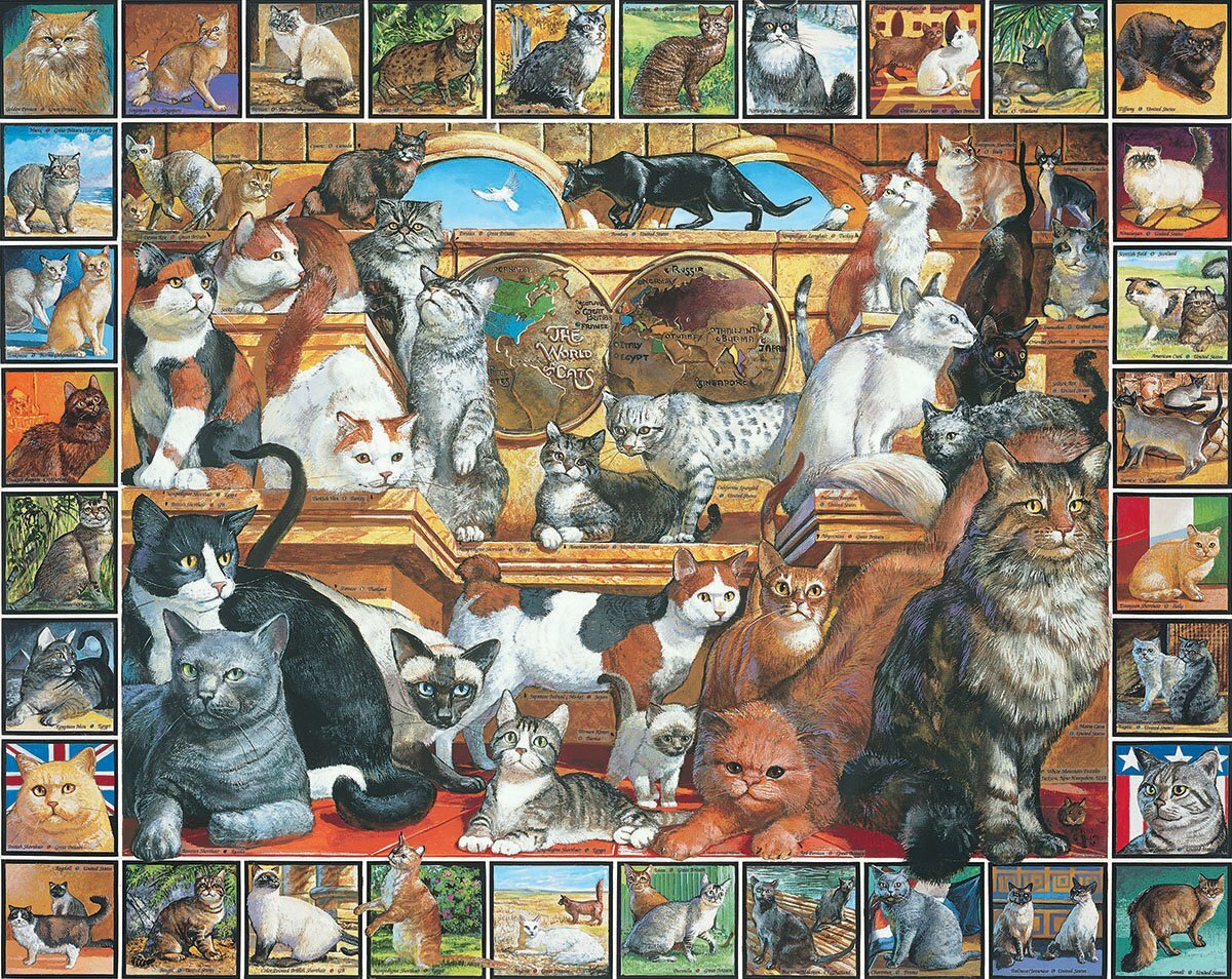 World of Cats - 1000 Piece - White Mountain Puzzles
