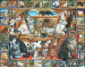 World of Cats - 1000 Piece - White Mountain Puzzles