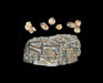 Rock Molds  5 X 7" 12.7 X 17.7cm -- Classic Rock