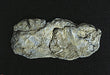 Rock Molds -- Washed Rock