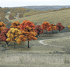 Fall Colors Deciduous Tree Pack  Ready Made Trees(tm) -- 3/ 4 To 2" 1.9 To 5.1cm Pkg(38)