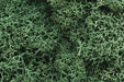 Lichen  1.5qts 1.4l -- Light Green