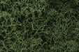 Lichen  1.5qts 1.4l -- Medium Green
