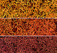 Lichen  1.5qts 1.4l -- Autumn Mix