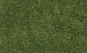 Coarse Turf -- Medium Green